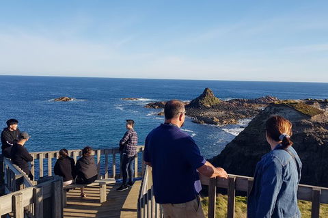 Phillip Island Private Experience - Australia Shopping 24