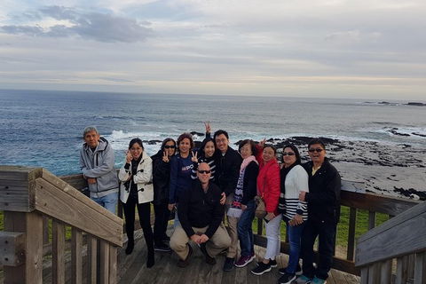 Phillip Island Private Experience - Australia Shopping 16