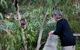 Phillip Island Private Experience - thumb 22