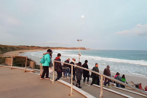 Phillip Island Private Experience - Australia Shopping 4