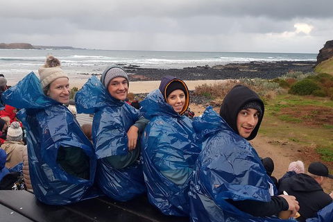 Phillip Island Private Experience - Australia Shopping 20