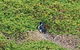 Phillip Island Private Experience - thumb 8
