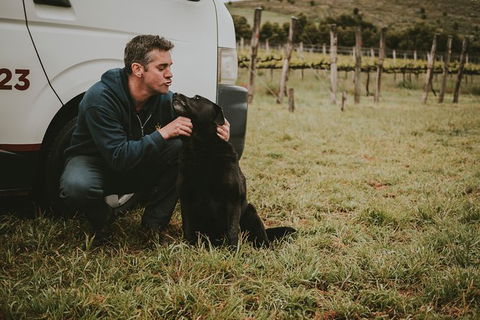 Daylesford Private, Corporate, Group Wine Tours: Wine, Cider, Gin, Vodka, Port! - Bed n Breakfasts 3