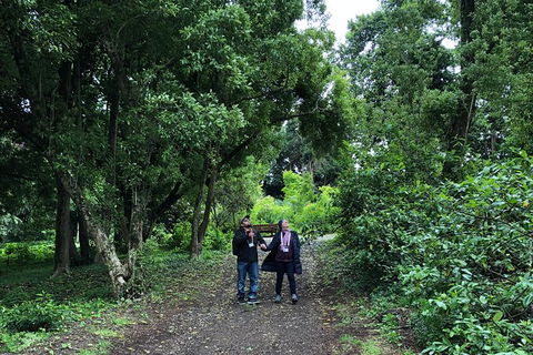 Alices Journeys Guided Walking Tours Of Daylesford - Accommodation Australia 5