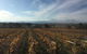 Tour 1 - Full Day, Wine Tasting Plus Lunch. - thumb 2