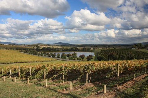 LGBT+ Friendly Full Day Yarra Valley & Dandenong Ranges Private Tour - Accommodation Australia 0