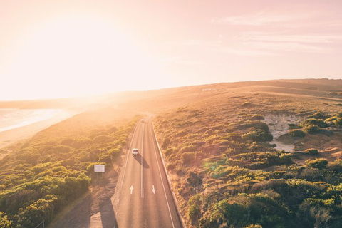 LGBT+ Friendly 2 Day Private Great Ocean Road Tour - Accommodation Australia 1