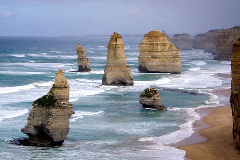 LGBT+ Friendly 2 Day Private Great Ocean Road Tour - Accommodation Australia 0