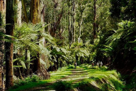 Aqueduct And Rail Trail Self-Guided Bike Tour In Warburton - Local Tourism 1