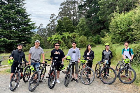 Aqueduct And Rail Trail Self-Guided Bike Tour In Warburton - Local Tourism 0