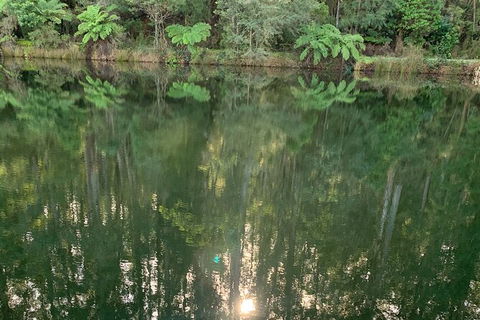 Hiking Tour To Aqueduct And Warburton Valley Lookout - Local Tourism 2