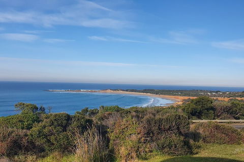 Private Great Ocean Road And Chocolaterie Tour With Tasting - Accommodation Australia 5