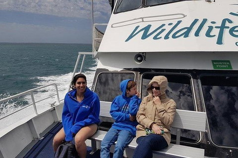 Phillip Island Penguin And Wildlife Tour - Bed n Breakfasts 15