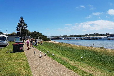 Phillip Island Penguin And Wildlife Tour - Bed n Breakfasts 25