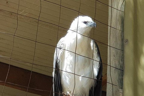 Phillip Island Penguin And Wildlife Tour - Bed n Breakfasts 21