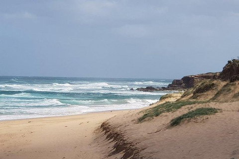 Phillip Island Penguin And Wildlife Tour - Bed n Breakfasts 10