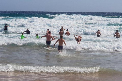 Phillip Island Penguin And Wildlife Tour - Bed n Breakfasts 18