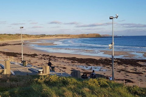 Phillip Island Penguin And Wildlife Tour - Bed n Breakfasts 8