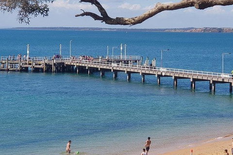 Phillip Island Penguin And Wildlife Tour - Bed n Breakfasts 2