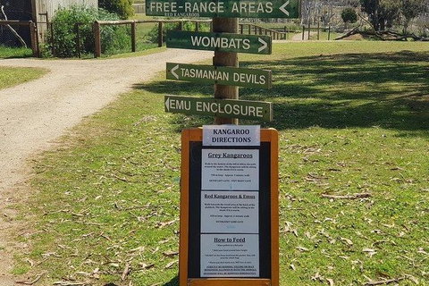 Phillip Island Penguin And Wildlife Tour - Bed n Breakfasts 4