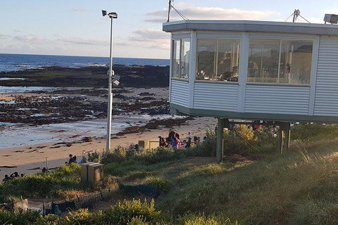 Phillip Island Penguin And Wildlife Tour - Bed n Breakfasts 33