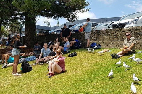 Phillip Island Penguin And Wildlife Tour - Bed n Breakfasts 22