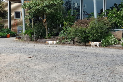 Yarra Valley Wineries And Rayners Orchard Tour From Melbourne - Bed n Breakfasts 23