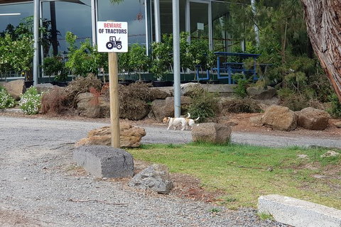 Yarra Valley Wineries And Rayners Orchard Tour From Melbourne - Bed n Breakfasts 1