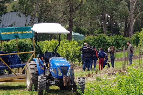 Day Tour Of Yarra Valley Puffing Billy And Rayners Orchard - Local Tourism 10