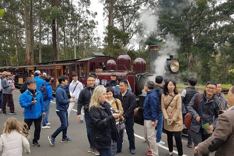 Day Tour Of Yarra Valley Puffing Billy And Rayners Orchard - Local Tourism 18