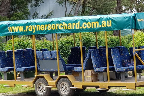 Day Tour Of Yarra Valley Puffing Billy And Rayners Orchard - Local Tourism 33