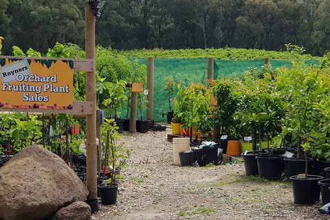 Day Tour Of Yarra Valley Puffing Billy And Rayners Orchard - Local Tourism 22