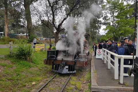 Day Tour Of Yarra Valley Puffing Billy And Rayners Orchard - Local Tourism 43