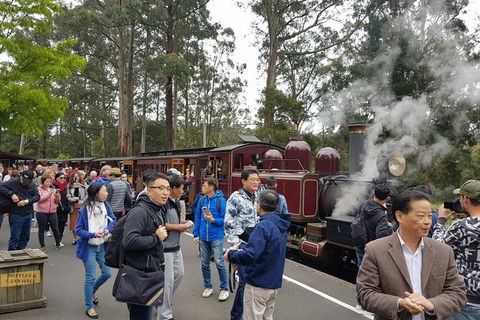 Day Tour Of Yarra Valley Puffing Billy And Rayners Orchard - Local Tourism 12