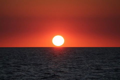 Roebuck Bay Snubfin Dolphin Cruise - Accommodation Australia 1