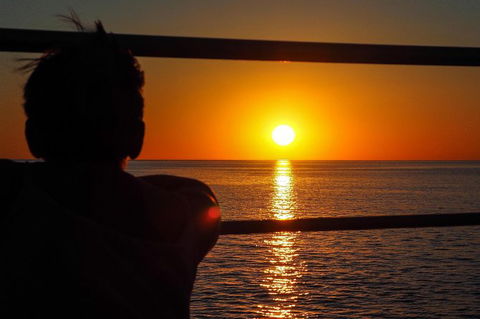 Roebuck Bay Snubfin Dolphin Cruise - Accommodation Australia 4