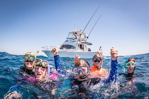 Life On Ningaloo Swimming Tour In Exmouth - Accommodation Australia 4