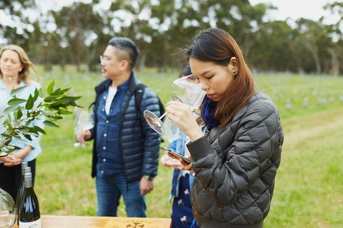 Organic Vineyard/Farm Tour - Accommodation Australia 1