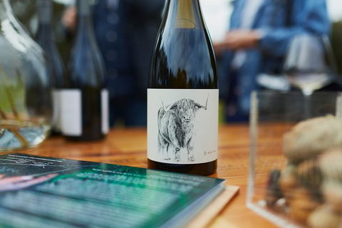Organic Vineyard/Farm Tour - Accommodation Australia 5