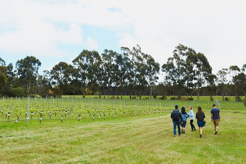Organic Vineyard/Farm Tour - Accommodation Australia 7