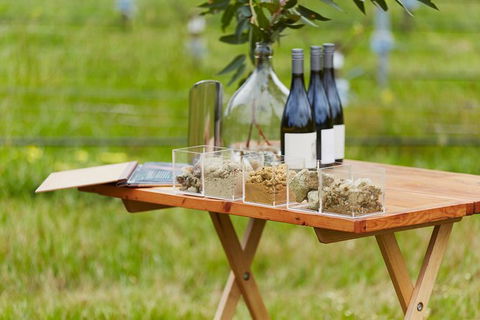 Organic Vineyard/Farm Tour - Accommodation Australia 3