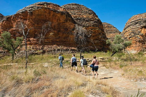 Bungle Bungle Explorer - Accommodation Australia 0