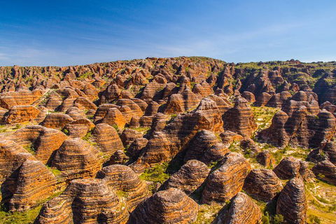 Bungle Bungle Explorer - Accommodation Australia 1
