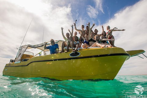 Ningaloo Immersion Private Charter - Accommodation Australia 9