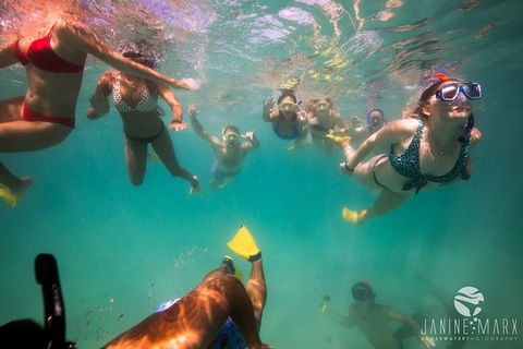 Ningaloo Immersion Private Charter - Accommodation Australia 8