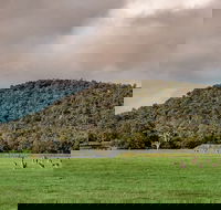 Baldwins Bluff Guided Hike - Local Tourism