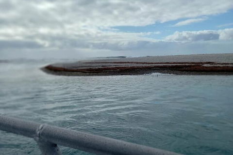 Abrolhos Islands Fishing Charter - Australia Shopping 6