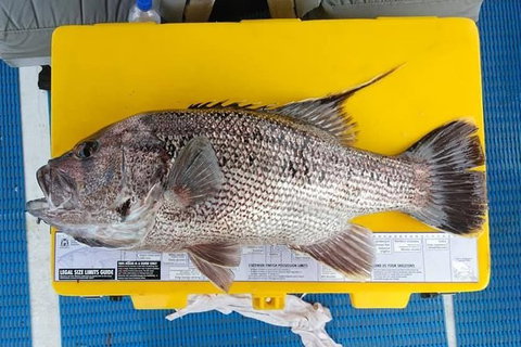 Abrolhos Islands Fishing Charter - Australia Shopping 2