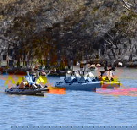 Private Guided River Kayak Tour - Local Tourism