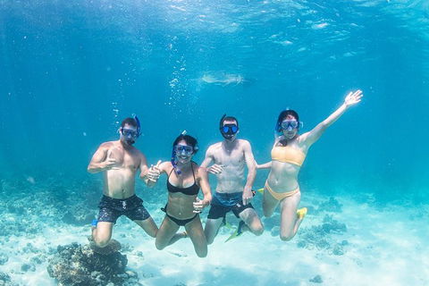 Full-Day Whale Sharks Swimming Experience On Ningaloo Reef - Accommodation Australia 5